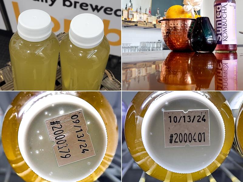 Süntea Kombucha (Formally sünnte kombucha)