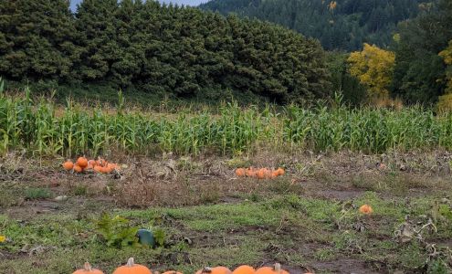 Johnson Vegetable Farms