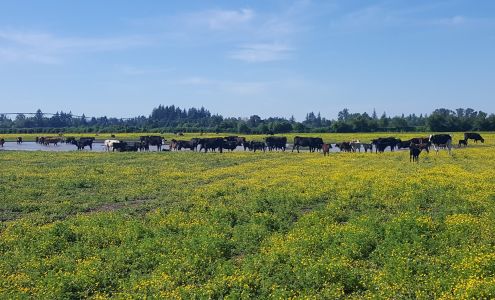 West Farms Inc. Scio