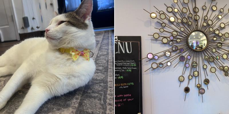 Catty Corner Cafe Menu