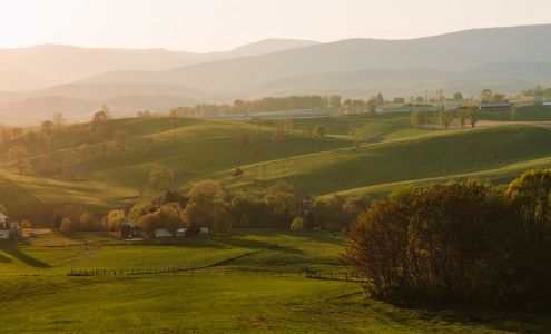 Shenandoah Valley Organic - Farmer Focus