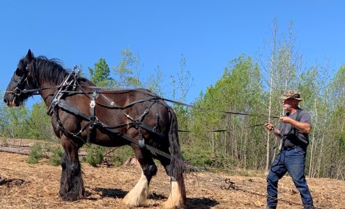 Sapphire Farms Vernon Hill