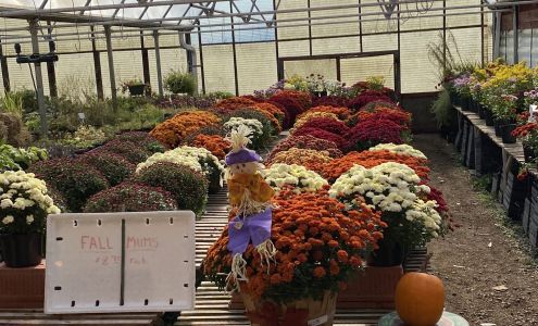 Stiles Vegetable Farm and Greenhouse