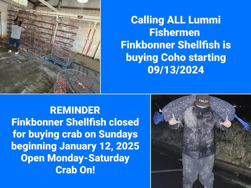 Finkbonner Shell Fish