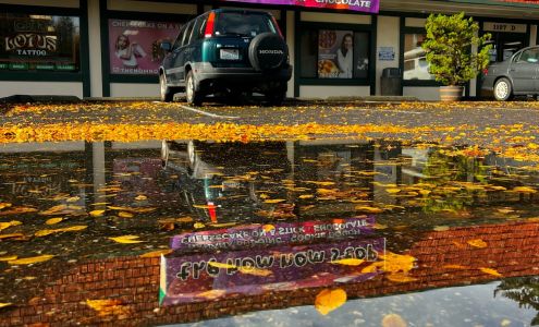 The Nom Nom Stop LLC