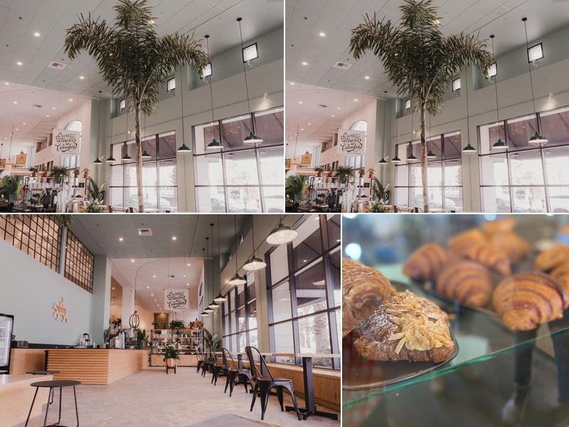 The Boy & The Bear - Coffee Roastery - Sherman Oaks