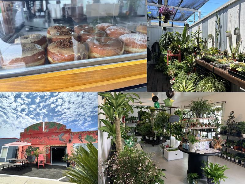 Plantology Cafe 913 S Coast Hwy, Oceanside