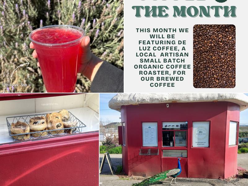 Plume & Brew Coffee 30160 Old California 76, Bonsall