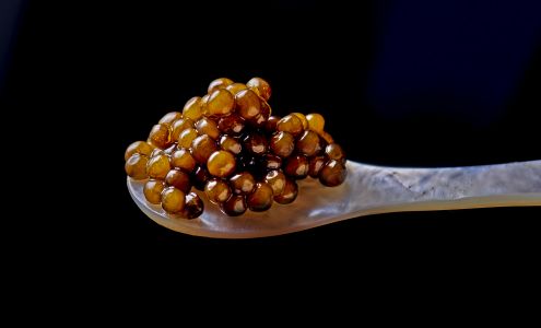 PASSMORE Sloughhouse