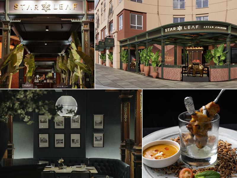 Star Leaf - Asian Cuisine