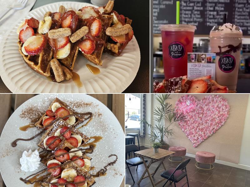 XOXO Protein. Nutrition Club. protein shakes