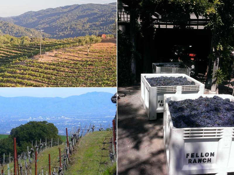 Fellom Ranch Vineyards