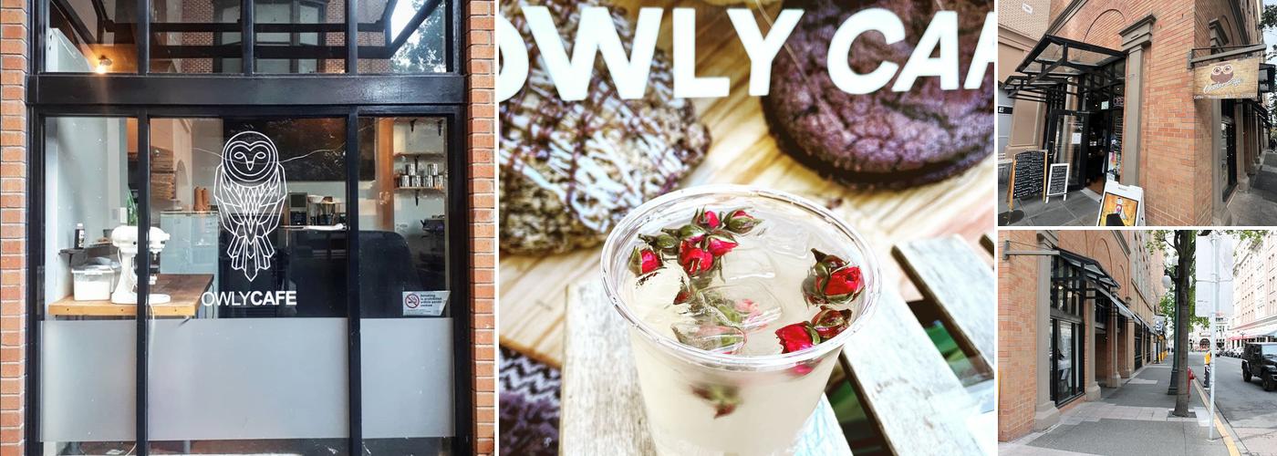 New Owly Cafe
