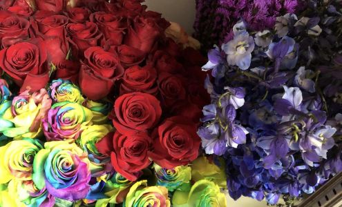 Just Imagine 305 Budd Ave, Big Piney Wyoming 83113