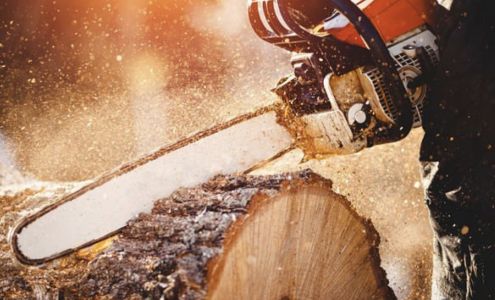 All Trades Property Maintenance 1835 Good Hope St, Cape Girardeau Missouri 63703