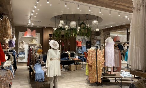 Altar'd State American Dream