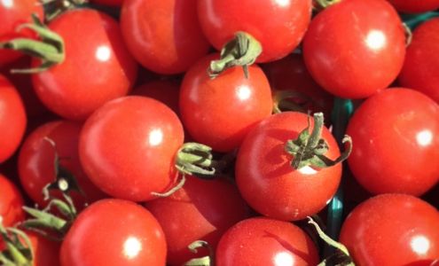 Coke Farm San Juan Bautista