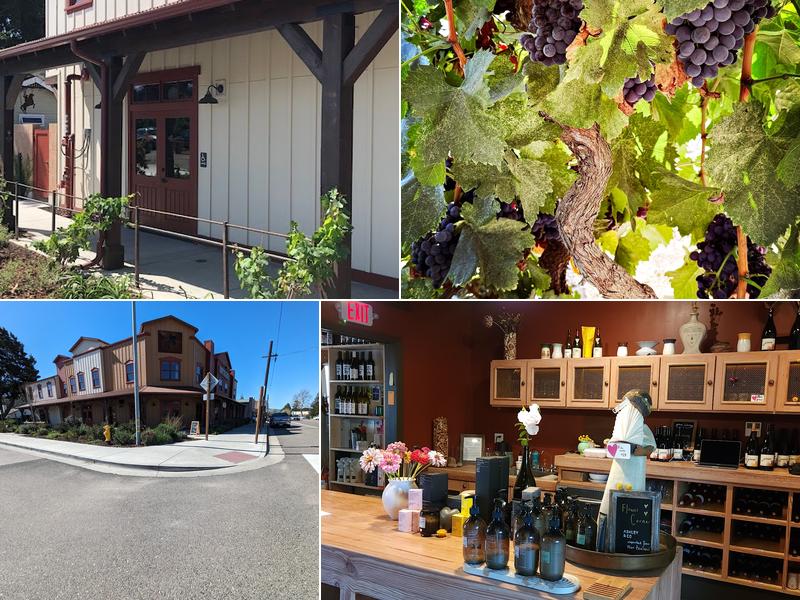 A Tribute to Grace Wine Company