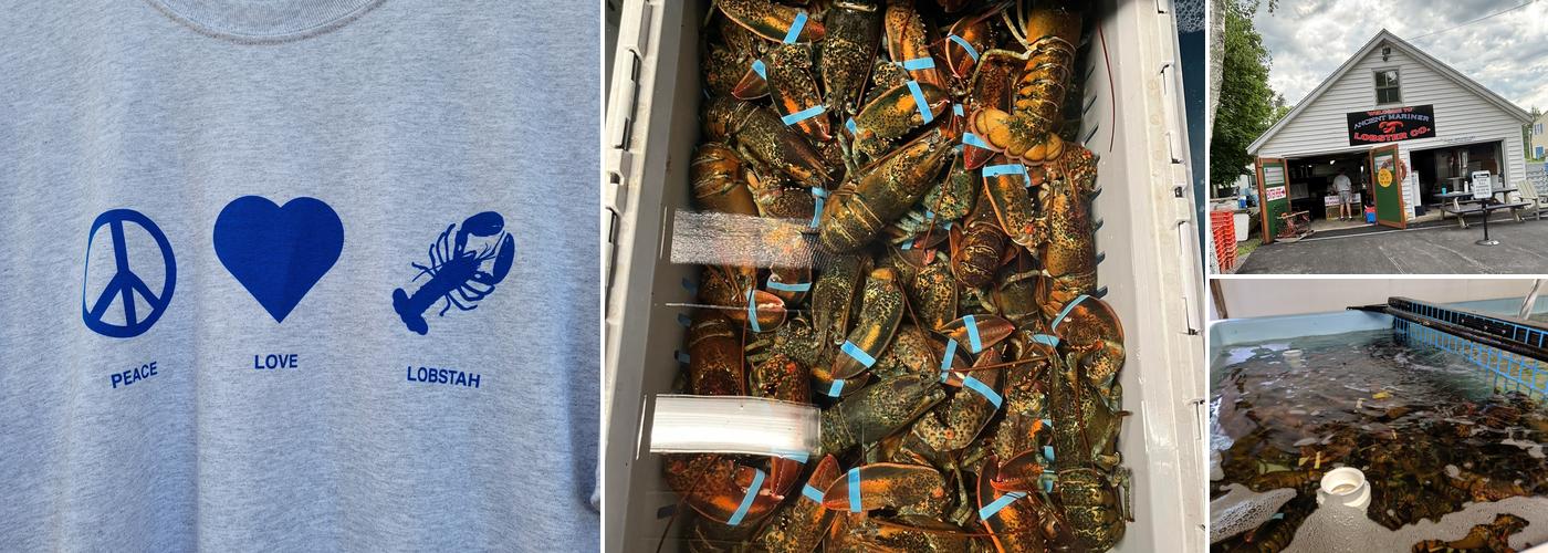 Ancient Mariner Lobster Co.
