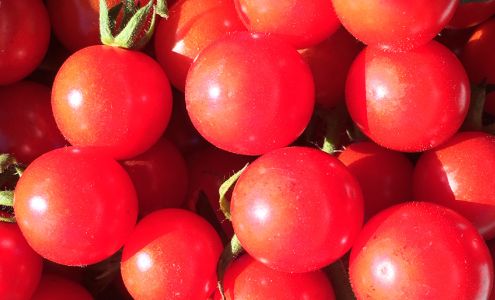 Replenova Farm, LLC Durham