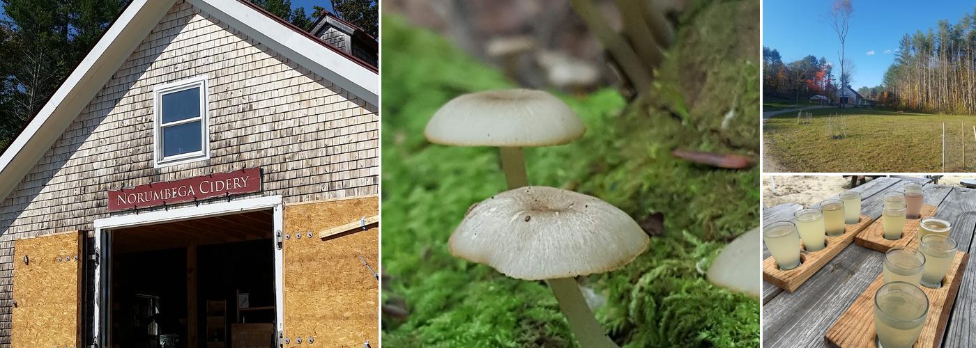 Norumbega Cidery