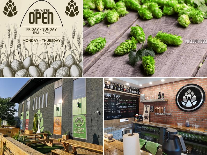 Hell's Basement Brewery Inc. 102,  552 18 St SW, Medicine Hat