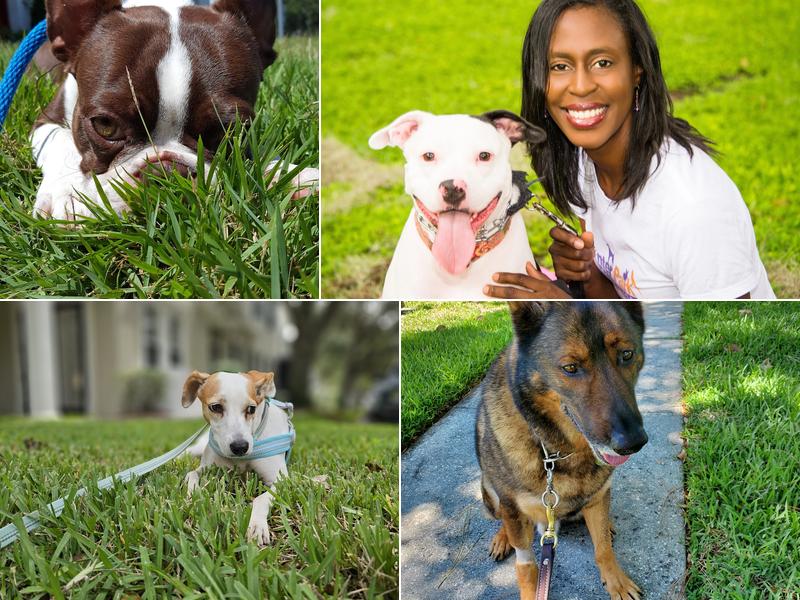 Winter Park Pet Concierge