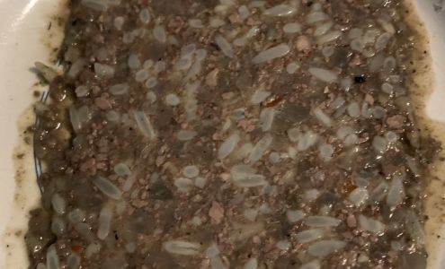 The Meat N Place at Caughmans