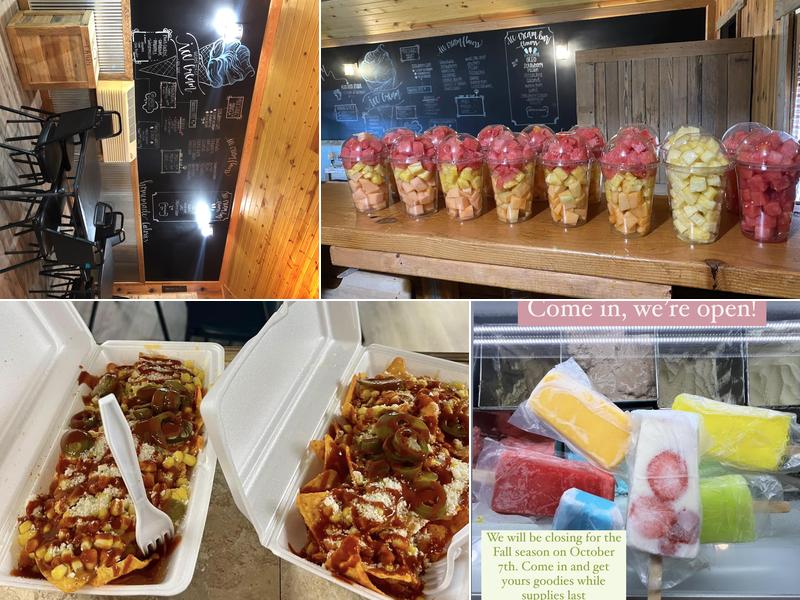 The Little Ice Cream Shop