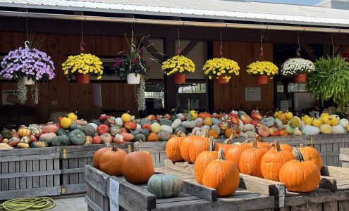 Moreland Fruit Farm & peaches