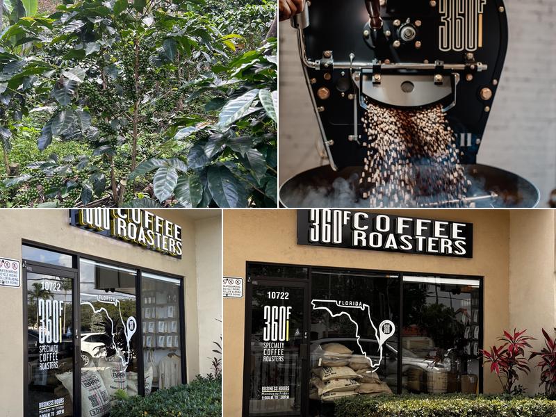 360F Coffee Roasters