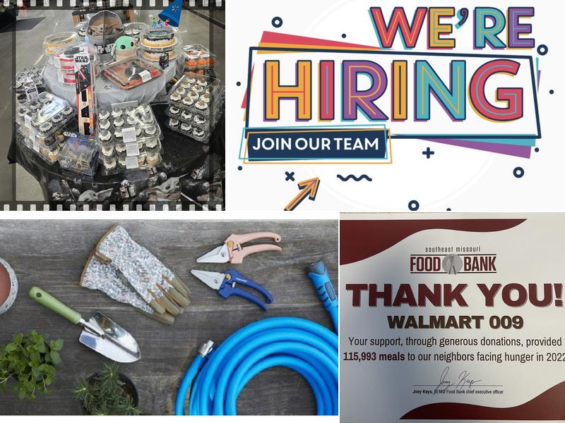 Walmart House Cleaning Services