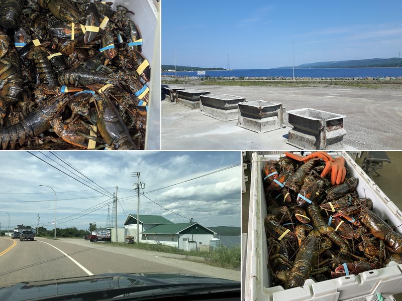 BST Lobster Sales Limited