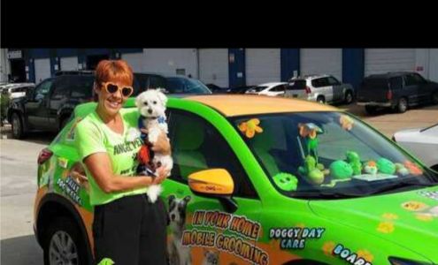 Angel Pets of Houston 13050 Champions Park Dr #701, Houston Texas 77069