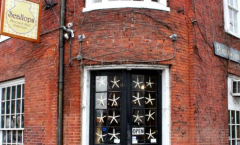 Scallops Mineral and Shell Emporium