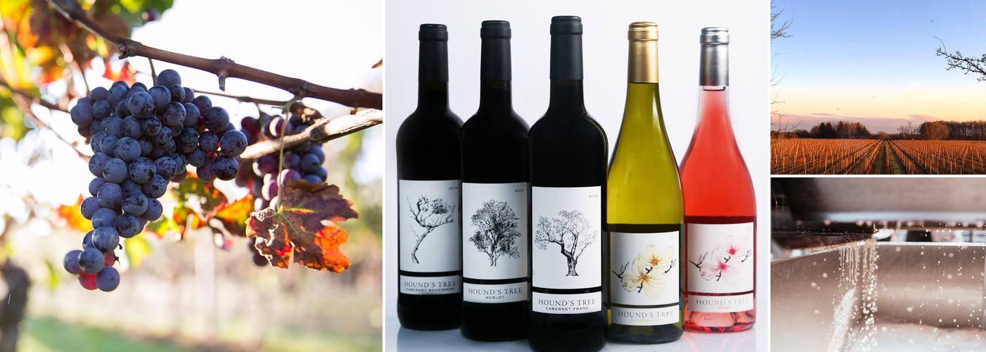 Hound's Tree at Sherwood House Tasting Room