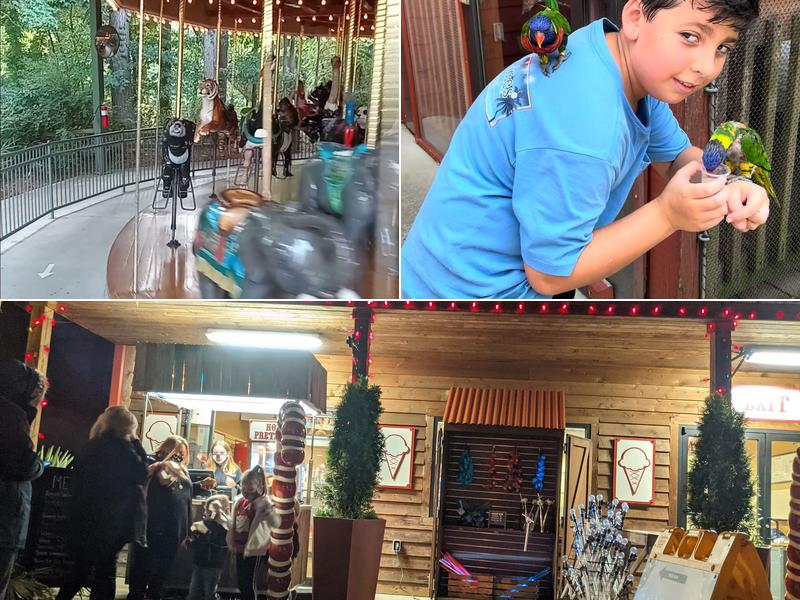 Carousel Ice Cream Shop