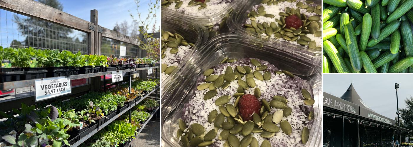 The Coffee Project at The Root Cellar