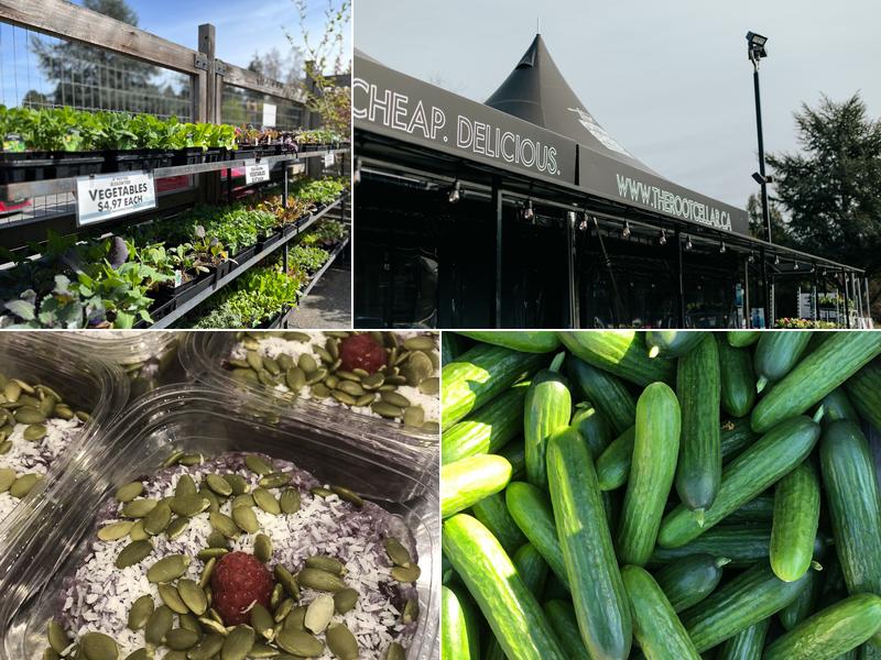 The Coffee Project at The Root Cellar