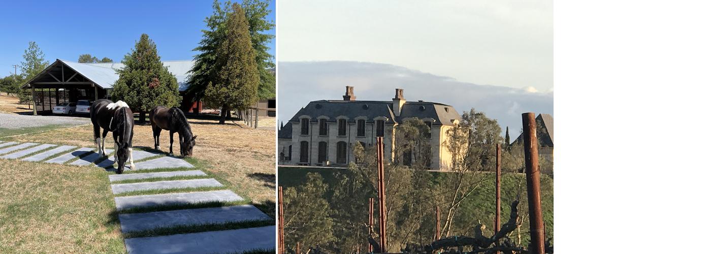 Las Madres Vineyards