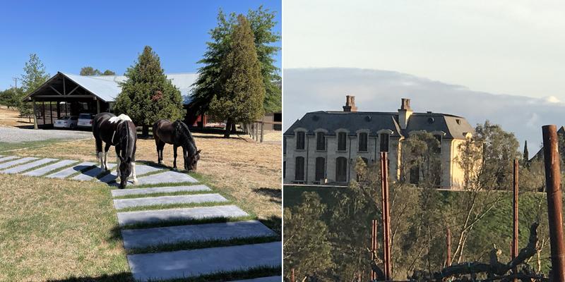 Las Madres Vineyards