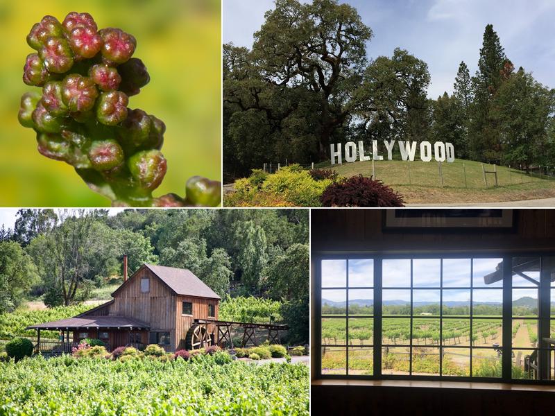 Mill Creek Vineyards & Winery