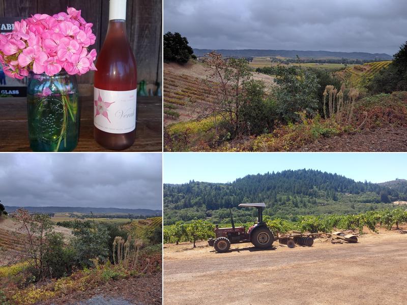 Mounts Family Winery