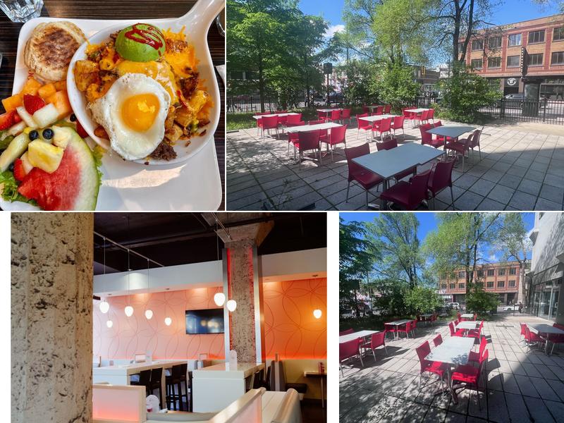 Allô mon Coco Plateau-Mont-Royal