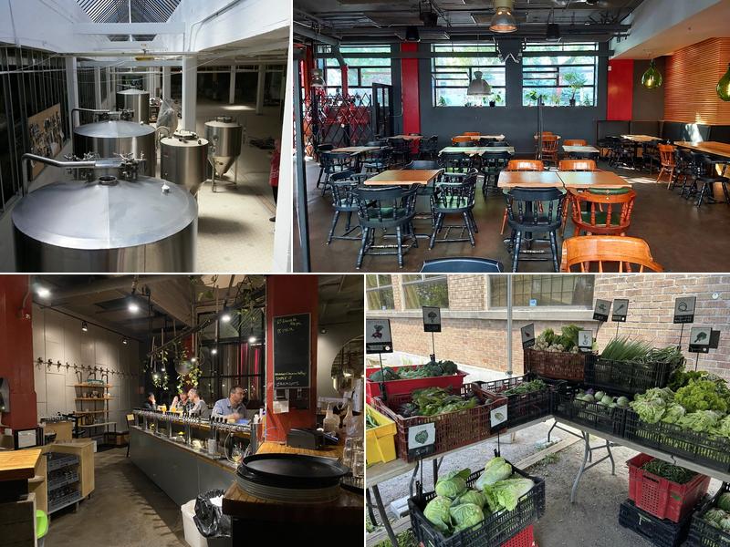 MABRASSERIE - Coop Brassicole