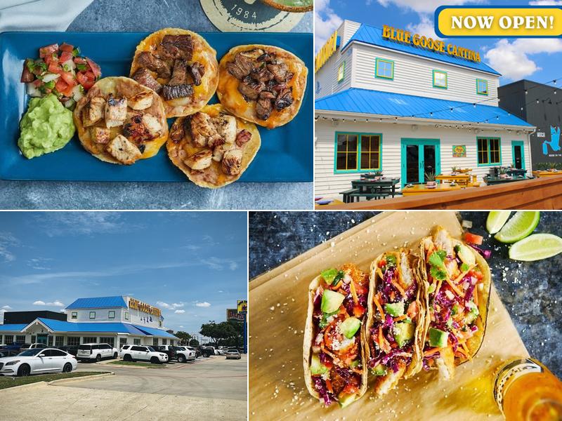 Blue Goose Cantina Mexican Restaurant