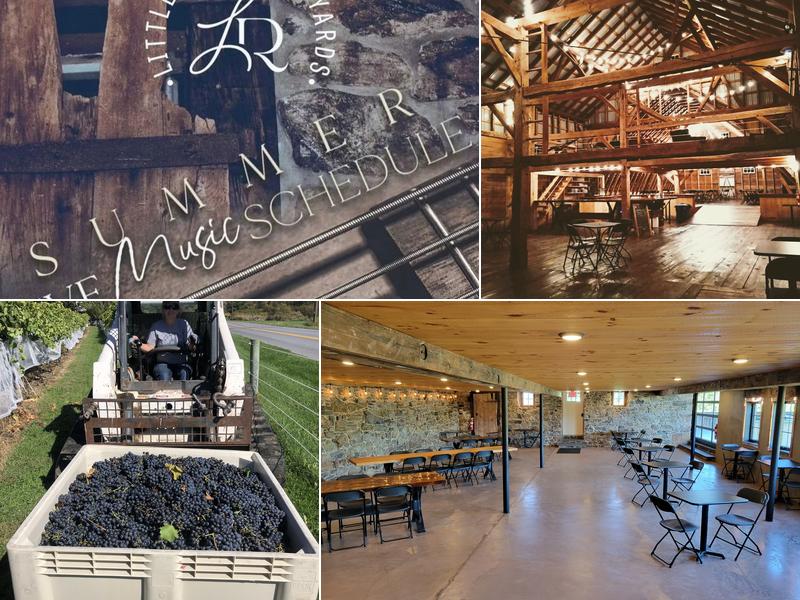 Little Ridge Vineyards