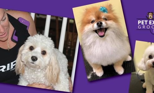 Pet Express Grooming 3734 Cleveland Ave, Wellington Colorado 80549