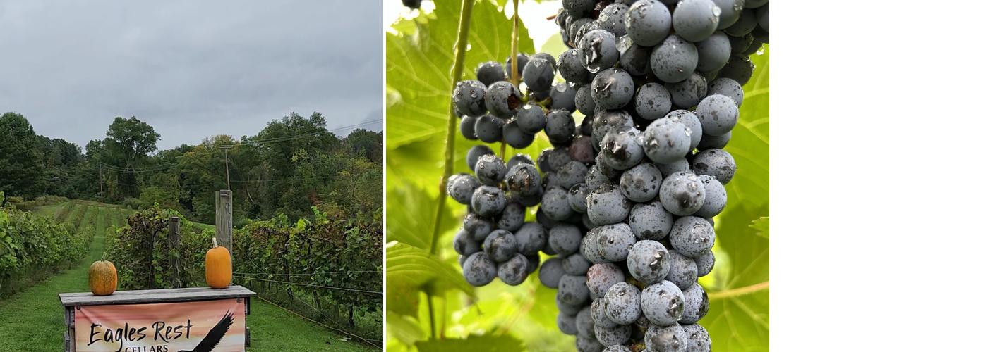 Eagles Rest Cellars Menu