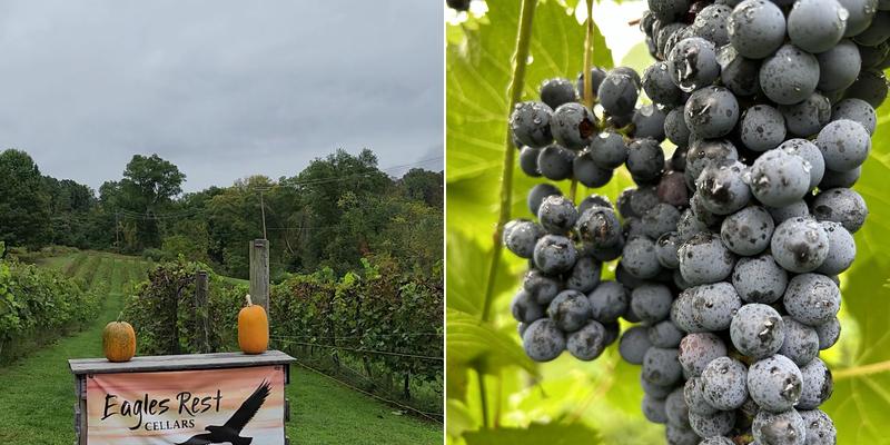 Eagles Rest Cellars Menu